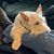 Mark Mortier's profile image