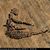 Sid Ahmed Hammoud Djeroud's profile image