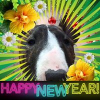 Lorraine Williams's profile image