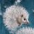 Beverly Purser's profile image