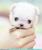 Elizabeth L.'s profile image