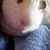 Andi Hagen's profile image