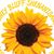 Patricia Sue White's profile image
