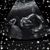 Nicole Kruse's profile image