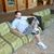 Scott Gray's profile image