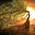 Christine Spiers Yager's profile image