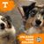 Linda Tinsley Carroll's profile image