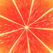 Luvfood S.'s profile image