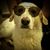 Bryan Backus's profile image