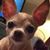 Melissa Henley-Prater's profile image