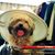 Arlene Craig's profile image