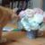 Holly Potter's profile image