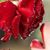 Gisela Marrero's profile image