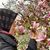 Nuray Yaglidere's profile image