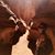 Debbie Spisto Hulsey's profile image