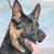 Valerie Taylor's profile image
