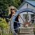 Debbie Buckley's profile image