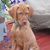 David Jean Hintze Chapman's profile image
