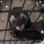 Michele McLaughlin Paulhus's profile image