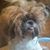 Kathy Horinger Foote's profile image