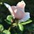 Sheila C. Meroth's profile image