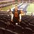 Chris Godwin's profile image