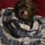 Beverly Hobbs's profile image