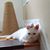 Hannah Amberge-Sloma's profile image
