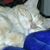 Sugar Julie's profile image