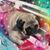 Lori Boone Boyter's profile image