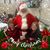 Melissa Carter Simmons's profile image