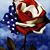 Pam Steffen-Karls's profile image