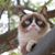 Barbara Zeynep Turkdal's profile image