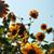 Kathy Hathaway's profile image