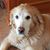 Lynn Conner Brisson's profile image