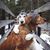 Martha Leora Nick-Stutsman's profile image