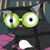 Kristi Thrall Schott's profile image