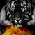 Miriam Velasquez's profile image