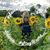 Brooke Lannert's profile image