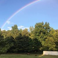 Nicki Hutchens's profile image