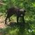 Mary Harris Seay's profile image