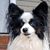 Tracy DeGennaro's profile image