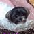 Kathy Lopez McCartney's profile image
