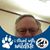 Jerry Simmons's profile image