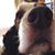 Anne Marie Gill-Re's profile image