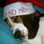 Catherine Leann Anderson's profile image