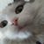 Heather Frieze's profile image