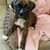 Vicky Harris Thomas's profile image