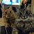 Joanne Lafferty's profile image