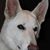 Darlene Baker's profile image